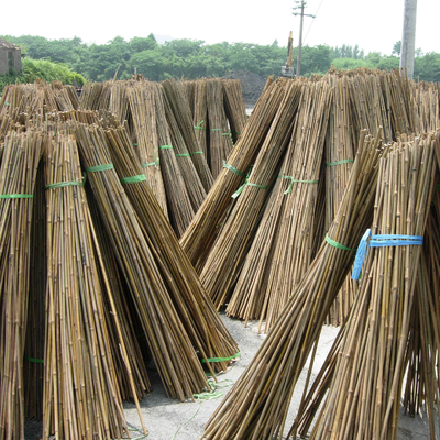 Pagar Taman Dekorasi Rumah Tiang Bambu Mentah Tonkin Tiang Bambu Padat