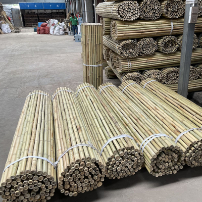Pagar Taman Dekorasi Rumah Tiang Bambu Mentah Tonkin Tiang Bambu Padat