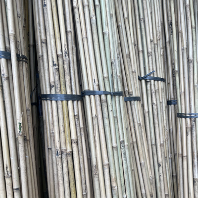 Pagar Taman Dekorasi Rumah Tiang Bambu Mentah Tonkin Tiang Bambu Padat