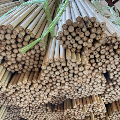 Tongkat Bambu Mentah Berwarna-warni Tiang Bambu Untuk Pertanian Taman