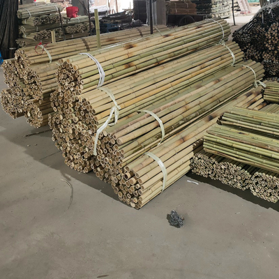Tongkat Bambu Mentah Berwarna-warni Tiang Bambu Untuk Pertanian Taman