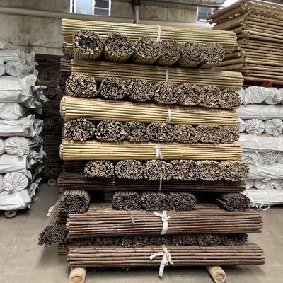 Tongkat Bambu Mentah Berwarna-warni Tiang Bambu Untuk Pertanian Taman