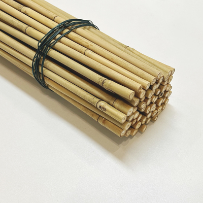 Tiang Bambu Besar Kering Lurus 60cm Sampai 595cm Warna Alami