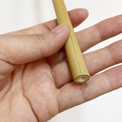 Tiang Bambu Besar Kering Lurus 60cm Sampai 595cm Warna Alami