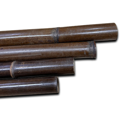 Anti Mould Painted Bamboo Stakes Colourful Plant Tonkin Carbonized 250cm