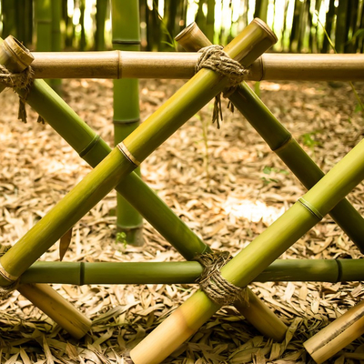 100% Tiang Bambu Moso Alami Kuat Tahan Lama Menyesuaikan Panjang