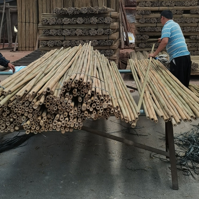 Ramah Lingkungan 3 Inch Moso Bambu Tiang Bambu Untuk Dekorasi Tanaman Kuning