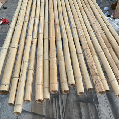 Tiang Bambu Moso 10 Kaki Alami Untuk Membangun Konstruksi Taman