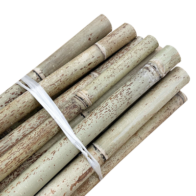 Tiang Bambu Lurus Alam Mentah Bambu Untuk Bangunan Pendukung Taman Pertanian Tanaman