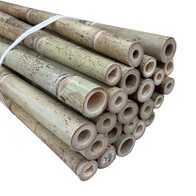 Tiang Bambu Lurus Alam Mentah Bambu Untuk Bangunan Pendukung Taman Pertanian Tanaman