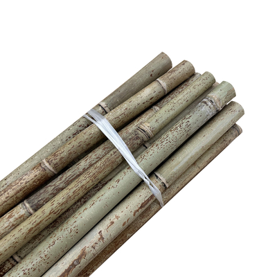 Tiang Bambu Luar Mentah Alam Kuning Tiang Bambu Kering 2m 3m 4m