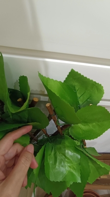 Dekoratif Plastik Hijau Tanaman Tikar Panel Pagar Daun Buatan Untuk Luar Ruangan
