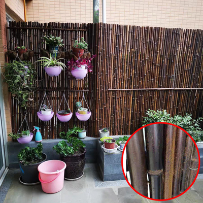 Pembibitan 2x1.8m Pagar Bambu Dekoratif Dengan Bingkai Pagar Bambu Berkarbonasi