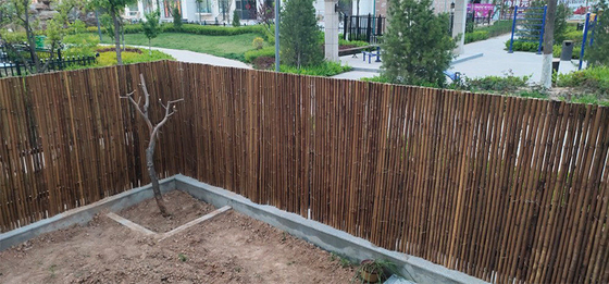 Pembibitan 2x1.8m Pagar Bambu Dekoratif Dengan Bingkai Pagar Bambu Berkarbonasi