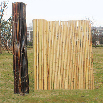 180cm Pagar Bambu Dekoratif Pagar Bambu Alami Taman Bambu Rolled Screening