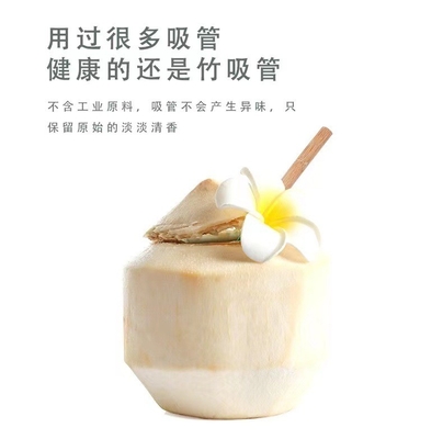 Reusable Eco Friendly 20x0.8cm Sedotan Minum Bambu Dapat Digunakan Kembali Dengan Sikat