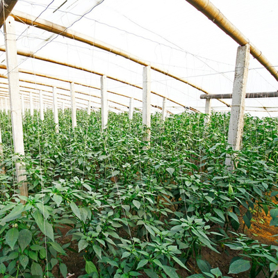 Konstruksi Bahan Baku Bambu
