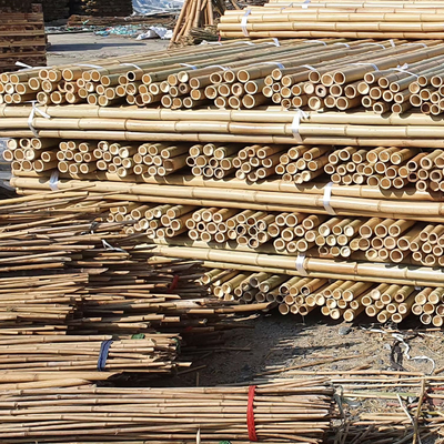 Konstruksi Bahan Baku Bambu