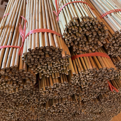 Tiang Bambu Mentah 10cm
