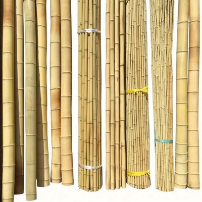 Bamboo Town Alam Kuning Hitam Dry Diobati Bamboo Moss Pole