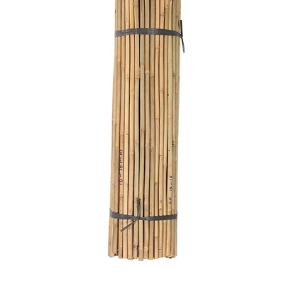 Bamboo Flower Sticks Tumpukan Taman untuk Dukungan Tanaman Dekorasi Taman Pertanian