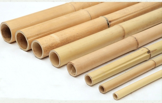100% Bamboo Natural Pole Sesuaikan Panjang Ramah Lingkungan Tumbuhan Dukungan Taman Stakes Kuat awet Ringan