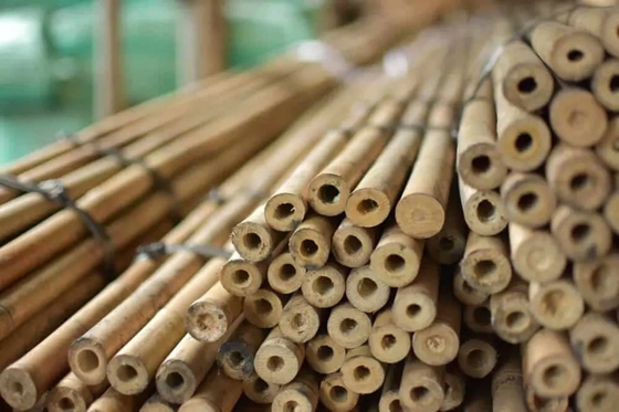 Natural Garden Bamboo Sticks Untuk Tanaman Indoor dan Outdoor, Plant Support Stakes Untuk Tomat, Kacang, Tanaman Pot