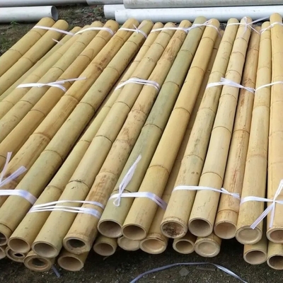 Bamboo Flower Sticks Tumpukan Taman untuk Dukungan Tanaman Dekorasi Taman Pertanian