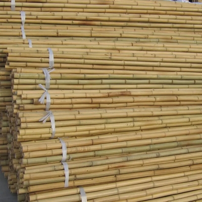 Bamboo Tumpukan Taman Tongkat Taman Tumpukan Bamboo Tumpukan Tanaman Untuk Kacang Kacang Kacang Kepiting Tanaman Buah Pohon