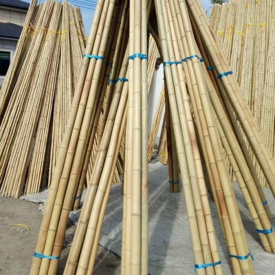Grosir Alam mentah Tonkin Kuning Bambu Pole Cane Material Untuk Dekoratif Dan Tanaman Tumbuh Dukungan