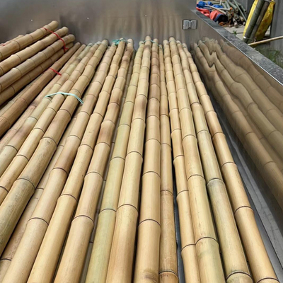 Harga Grosir Natural Moss Plant Pole Moss Stick Untuk Menekuk Tanaman Moss Pole Dukungan