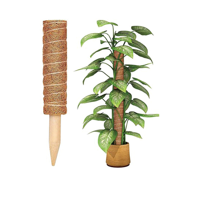 Coconut Palm Coir Moss Stick Totem Pole Coco Coir Totem Pole Plant Support Extension Climbing Indoor Plants Creepers