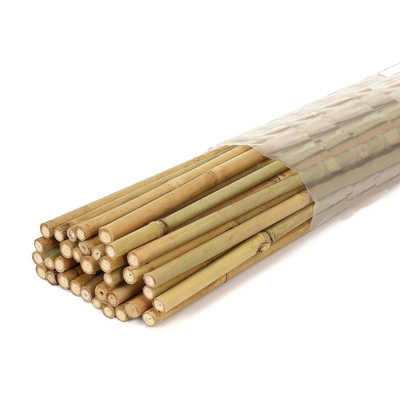Penyangga Bambu Kebun untuk Tanaman & Pemanjat
