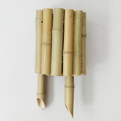 Pagar Tepi Bambu Alami yang Elegan untuk Batas Taman yang Indah