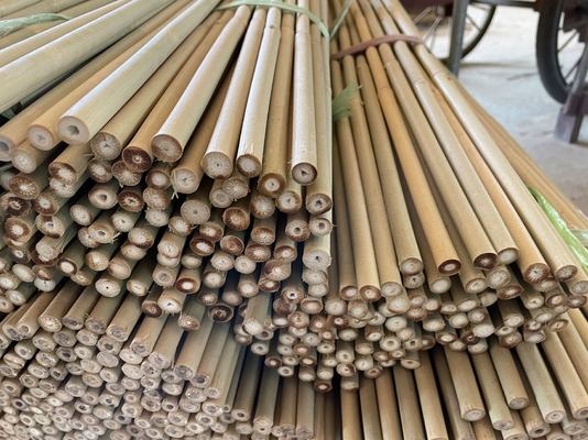 100% Bamboo Natural Stakes Customized Length Ramah Lingkungan untuk Dukungan Tanaman dan Dekorasi