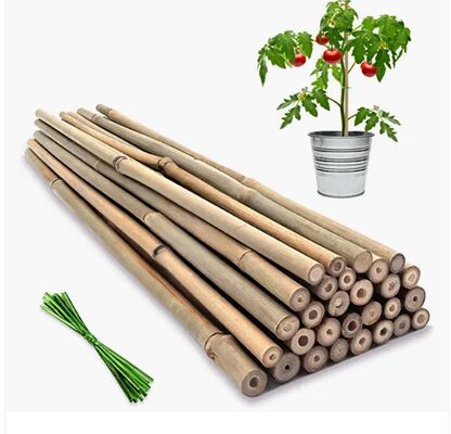 Tumpukan Taman, 18 Inci Tumpukan Tanaman Bambu Alami, Tumpukan Pendukung Tanaman dengan Dasi Twist, Tongkat Bambu untuk Tomat, Kacang, Bunga, Tanaman Pot, Tanaman Mendaki Indoor dan Outdoor
