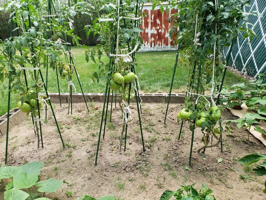 Patok Logam Berlapis Plastik, Patok Taman Hijau untuk Penopang Tanaman, Panjat Tanaman, Pagar Lanskap