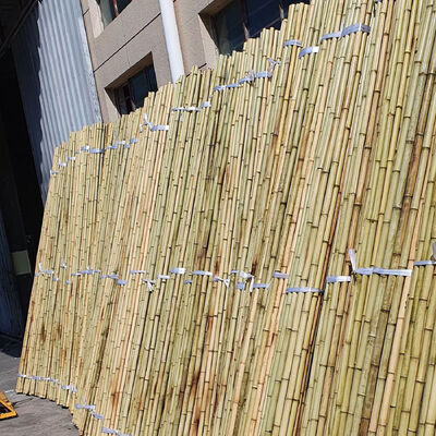 Eco Friendly Dekoratif Raw Bambu Pol Dia.0.8cm x 100cm Panjang