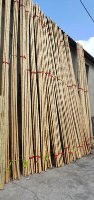 Eco Friendly Dekoratif Raw Bambu Pol Dia.0.8cm x 100cm Panjang