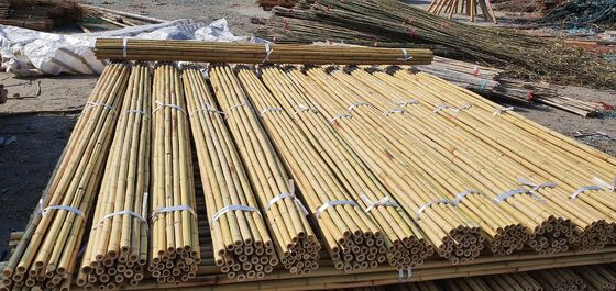 Eco Friendly Dekoratif Raw Bambu Pol Dia.0.8cm x 100cm Panjang