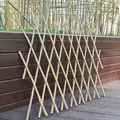 Expandable Bamboo Pole Fence 2-8ft Height Custom Size Outdoor Decoration